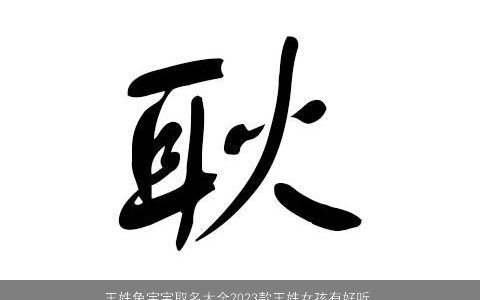 王姓兔宝宝取名大全2024款王姓女孩有好听优雅大气的名字 王姓兔宝宝取名大全2024款