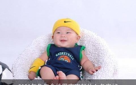 2023年兔年俞姓男宝宝起什么名字好