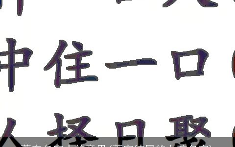 菁在名字中的意思(菁字结尾的女孩名字)