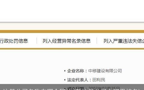 注册公司名称在哪个网站(新注册公司在哪里核名)