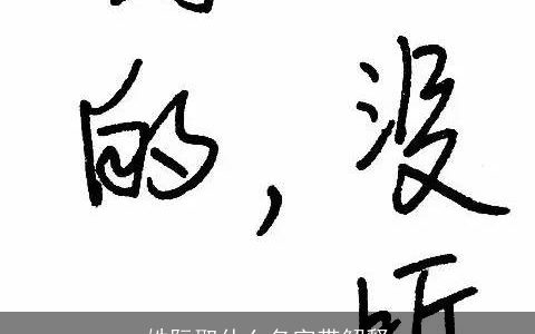 姓阮取什么名字带解释