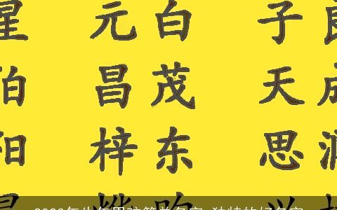 2024年牛年男孩简单名字 独特的好名字