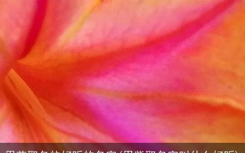 用花取名的好听的名字(用紫取名字叫什么好听)