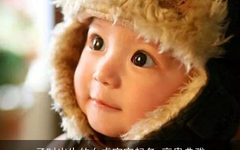 子时出生的女虎宝宝起名 高贵典雅