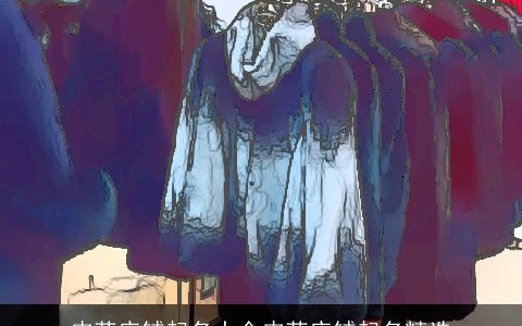 皮草店铺起名大全皮草店铺起名精选