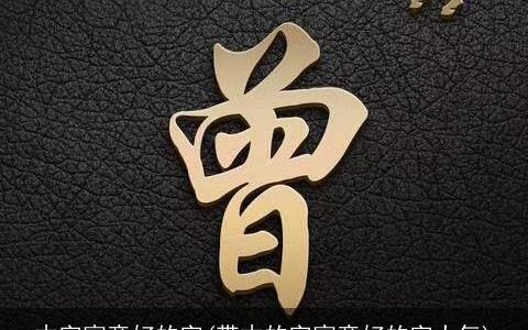 木字寓意好的字(带木的字寓意好的字大气)