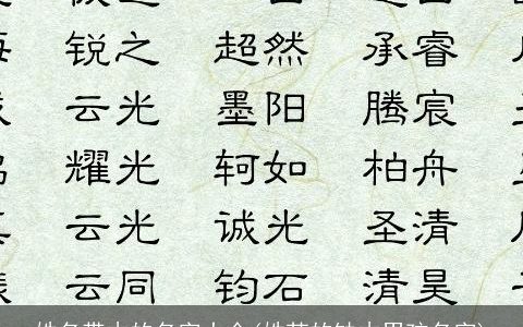 姓名带木的名字大全(姓苏的缺木男孩名字)
