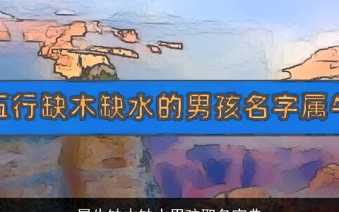 属牛缺木缺水男孩取名宝典
