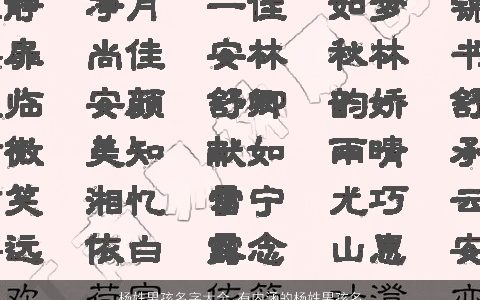 杨姓男孩名字大全 有内涵的杨姓男孩名字 2023有涵养内涵的杨姓男孩名最新