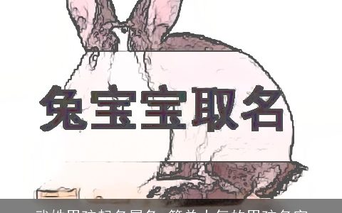 武姓男孩起名属兔 简单大气的男孩名字