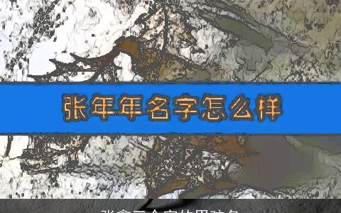 张鑫三个字的男孩名