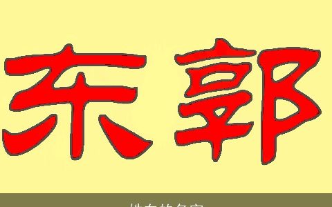 姓东的名字