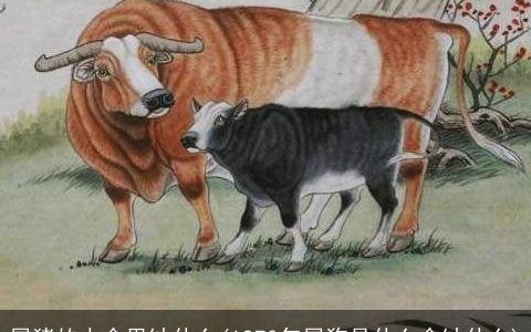 属猪的人命里缺什么(1970年属狗是什么命缺什么)