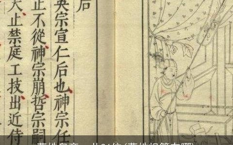 曹姓皇帝一共36位(曹姓祖籍在哪)