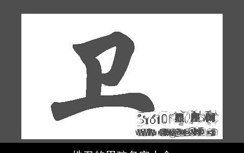 姓卫的男孩名字大全