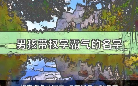 权字取名的寓意 权字取名男孩名字