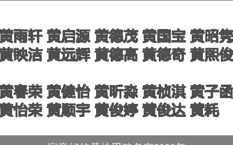 寓意好的黄姓男孩名字2024年