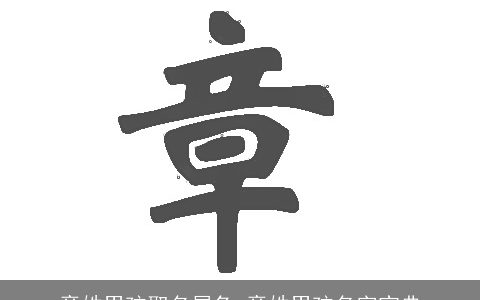 章姓男孩取名属龙 章姓男孩名字宝典