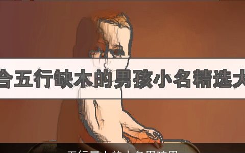 五行属土的小名男孩用