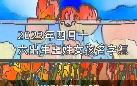 2024王姓宝宝高分名字