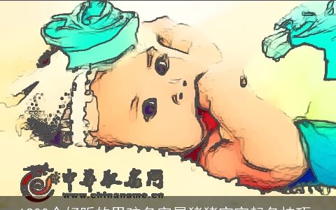 1200个好听的男孩名字属猪猪宝宝起名技巧_