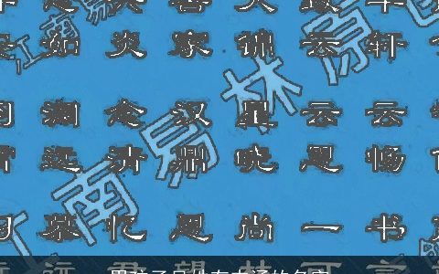 男孩子吴姓有内涵的名字