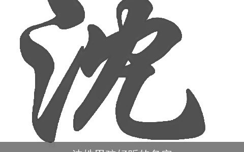 沈姓男孩好听的名字