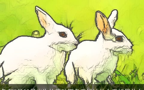 兔年4月28日出生的男孩取名五行缺什么五行属什么