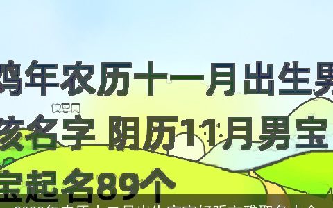 2023年农历十二月出生宝宝好听文雅取名大全