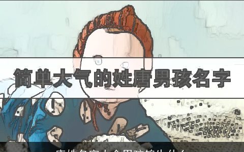 唐姓名字大全男孩锦生什么