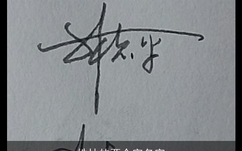 姓林的两个字名字