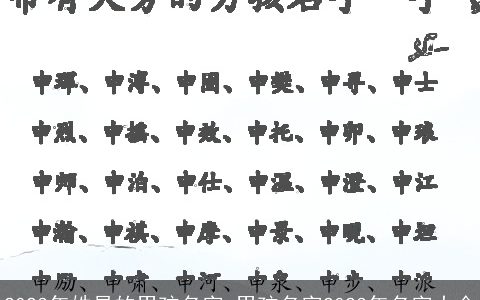 2023年姓易的男孩名字 男孩名字2023年名字大全