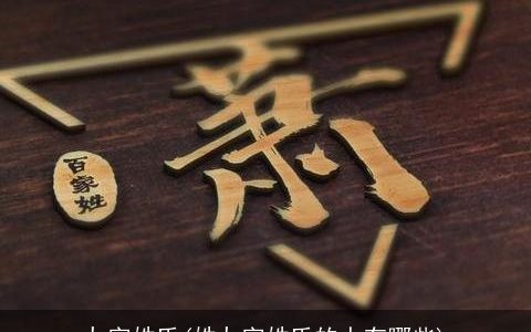 九字姓氏(姓九字姓氏的人有哪些)