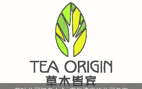 茶叶公司取名大全 霸气漂亮的公司名字