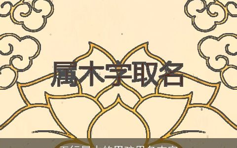 五行属木的男孩用名吉字