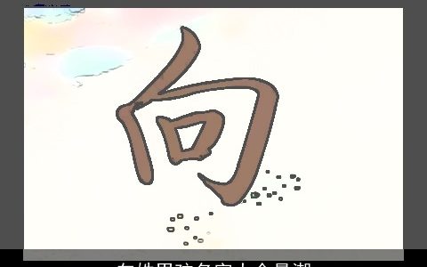 向姓男孩名字大全最潮