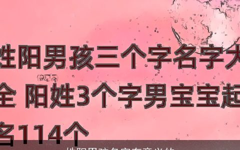 姓阳男孩名字有意义的