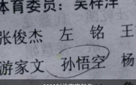 2023刘姓宝宝起名