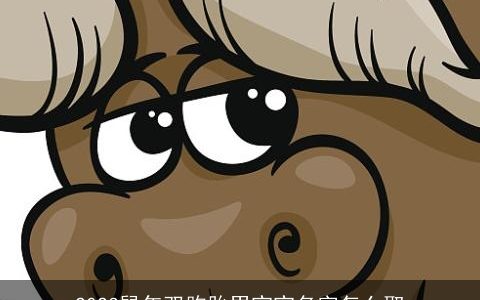 2023鼠年双胞胎男宝宝名字怎么取