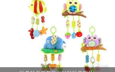 玩具种类与名称(100种玩具图片)