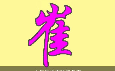 今年崔姓男孩起名字