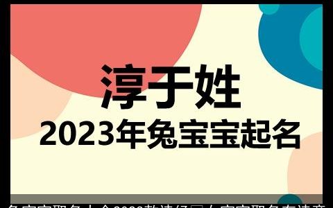 兔宝宝取名大全2023款诗经 女宝宝取名有诗意