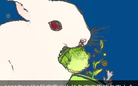 2024年10月8日寒露出生的兔宝宝男孩名字大全