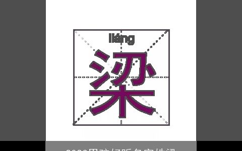 2023男孩好听名字姓梁