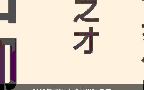 2024年好听的黎姓男孩名字