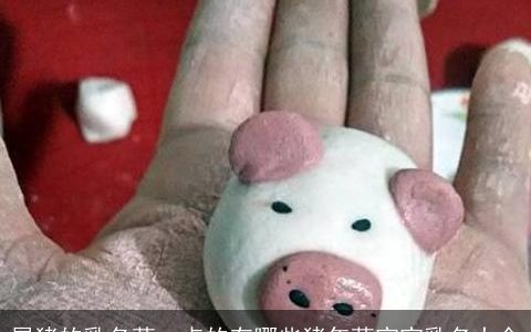 属猪的乳名萌一点的有哪些猪年萌宝宝乳名大全