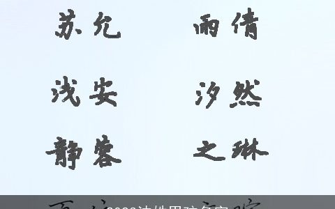 2023沈姓男孩名字