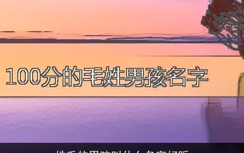 姓毛的男孩叫什么名字好听