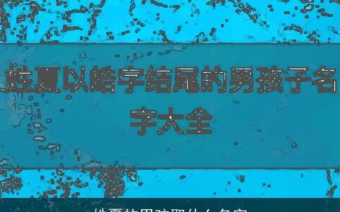 姓夏的男孩取什么名字