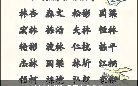 属金的男孩名字大全免费